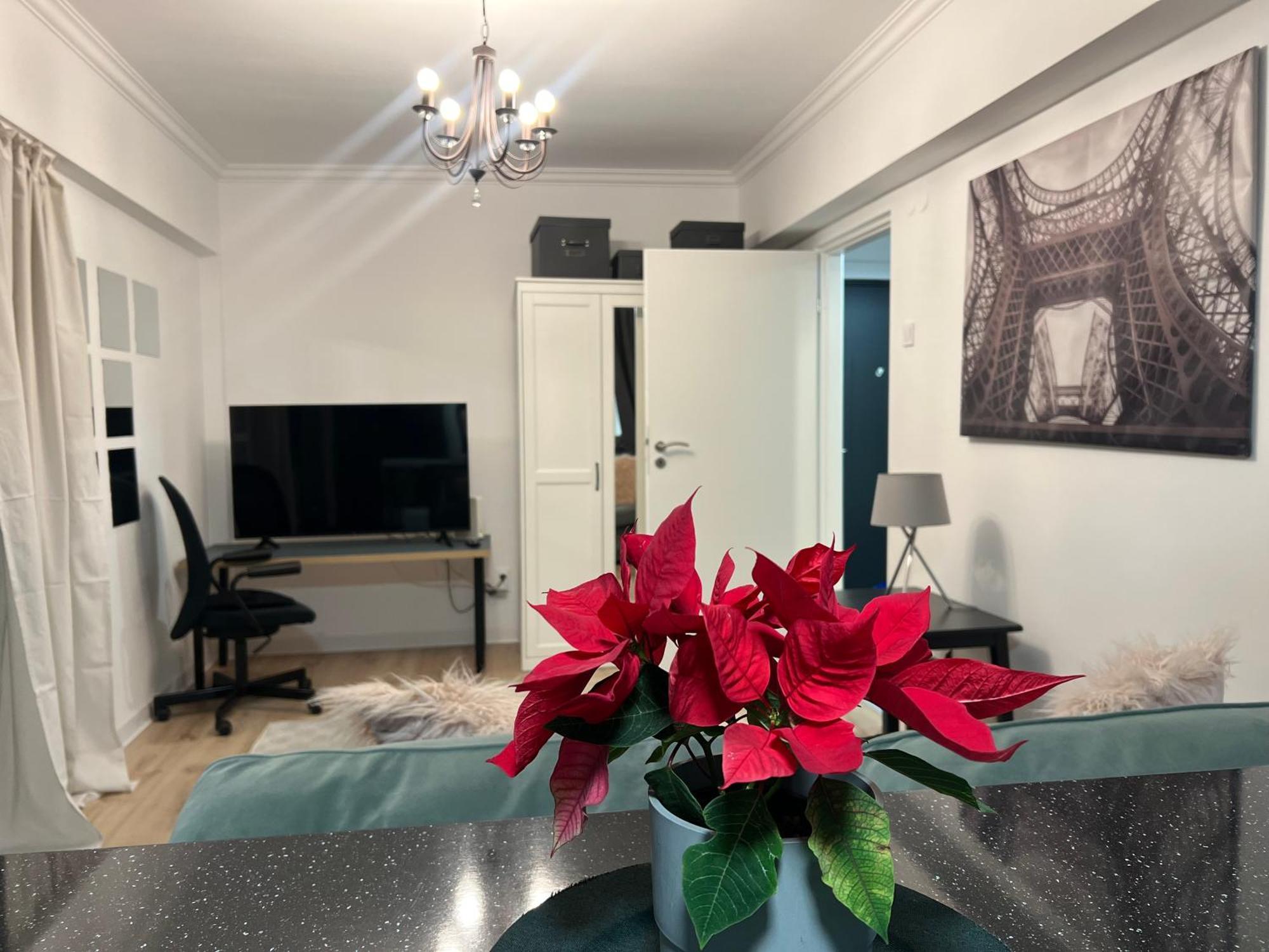 Cosy Studio Floreasca Букурещ Екстериор снимка