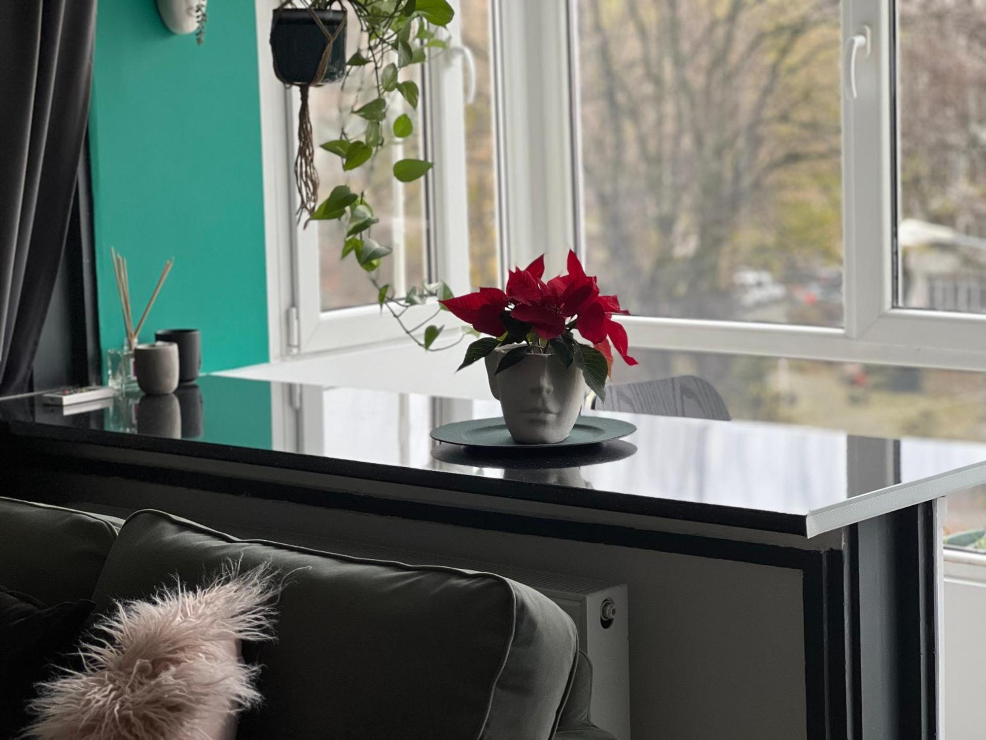 Cosy Studio Floreasca Букурещ Екстериор снимка