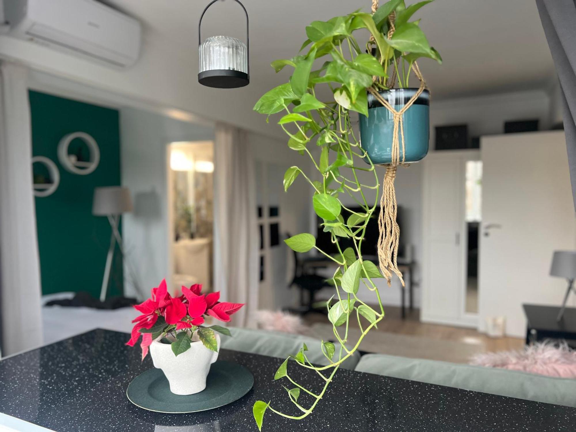 Cosy Studio Floreasca Букурещ Екстериор снимка
