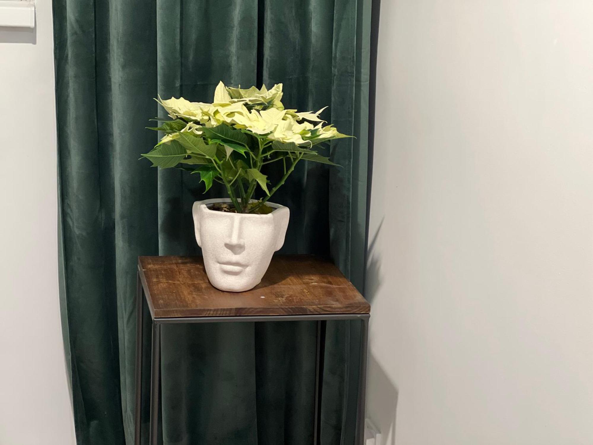 Cosy Studio Floreasca Букурещ Екстериор снимка